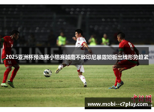 2025亚洲杯预选赛小组赛越南不敌印尼暴露短板出线形势趋紧 2025亚洲杯预选赛小组赛越南不敌印尼暴露短板出线形势趋紧