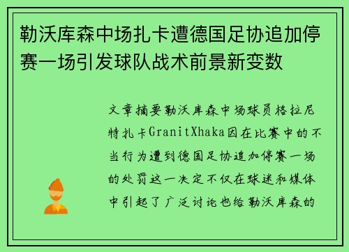 勒沃库森中场扎卡遭德国足协追加停赛一场引发球队战术前景新变数